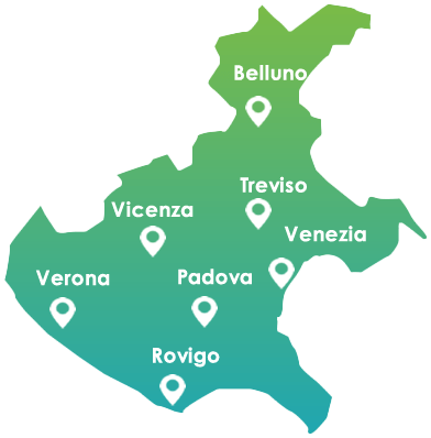 Azienda specializzata nelle Disinfestazioni in Veneto | Rimedi definitivi. | Disinfestazioni e derattizzazioni ecologiche in Veneto