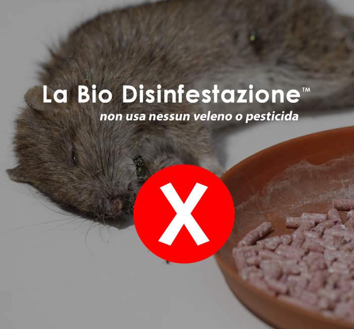 La bio disinfestazione dice no ai veleni o rodenticidi