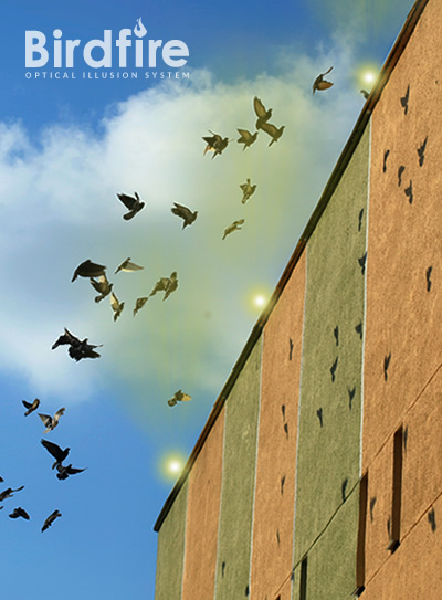 Dissuasore visivo allontanamento piccioni