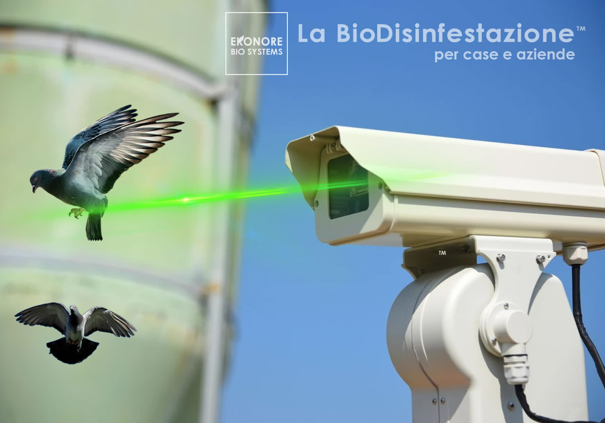 Dissuasore laser per uccelli automatizzato professionale