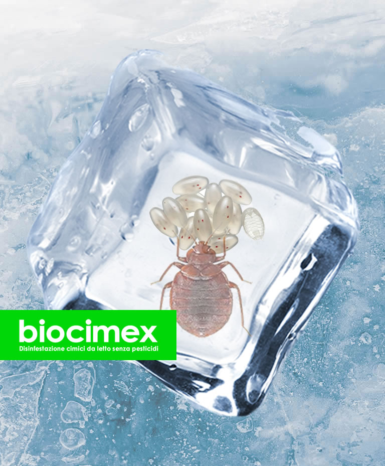 Eliminare le cimici dei letti con azoto