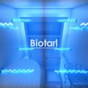 Disinfestazione microonde per tarli e acari dei tarli