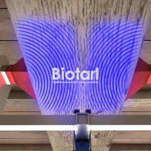 Disinfestazione microonde tarli