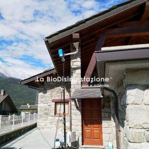 Disinfestazione tarli del legno chalet 