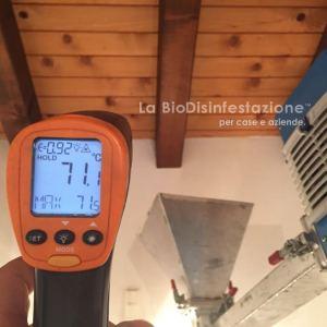 Rilevazione tarli sulle travi con infrarossi