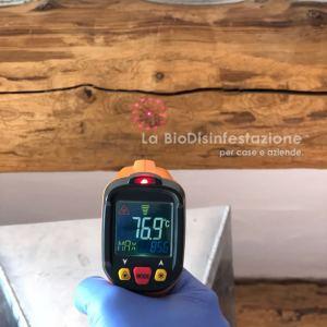 Trattamento rilevazione tarli