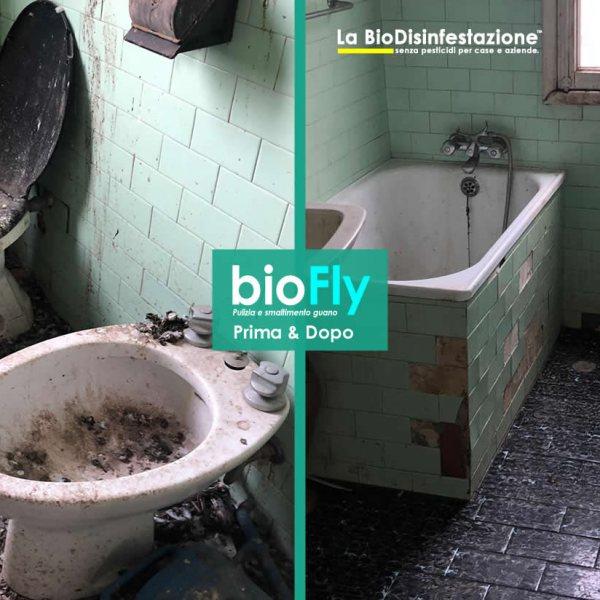 Bonifica guano dei piccioni da casa abbandonata