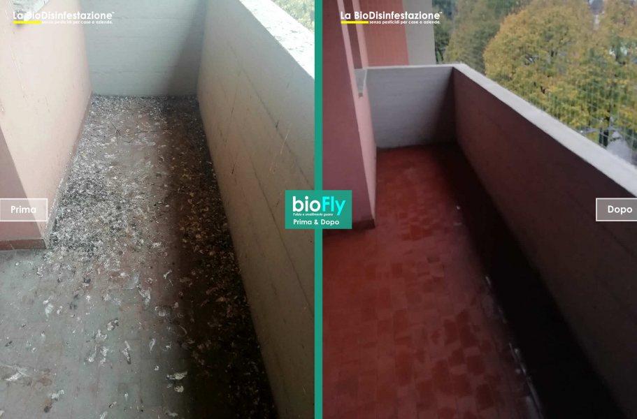 Pulizia guano da terrazzi e balconi