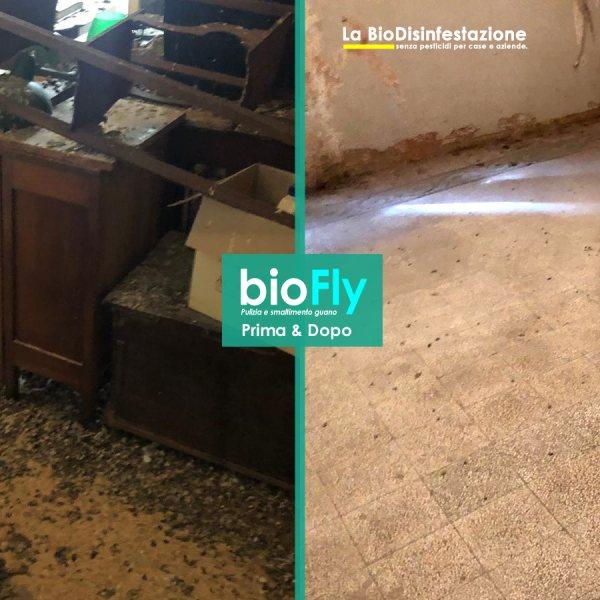 bonifica guano e smaltimento