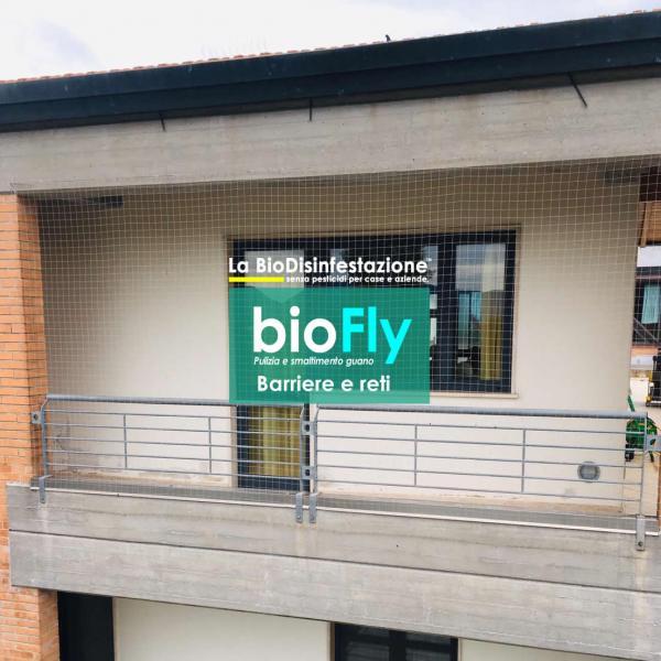 Barriere anti piccioni e uccelli per davanzali, balconi di edifici