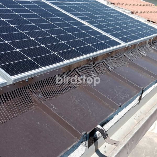 Barriera anti piccioni pannelli fotovoltaici