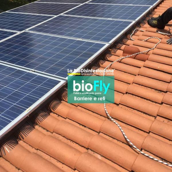 Barriera anti piccioni impianto fotovoltaico