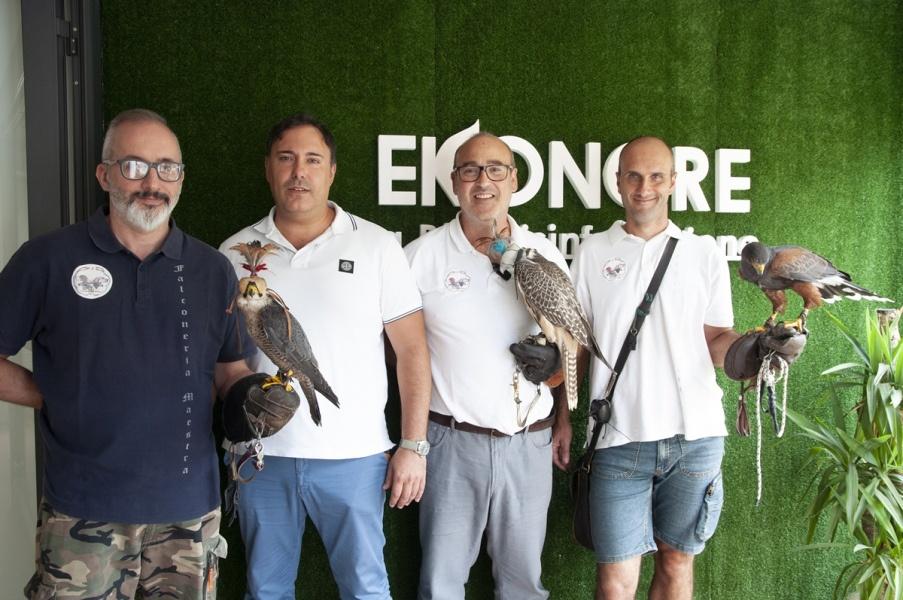 Falconiere addestrati e certificati per allontanamento volatili