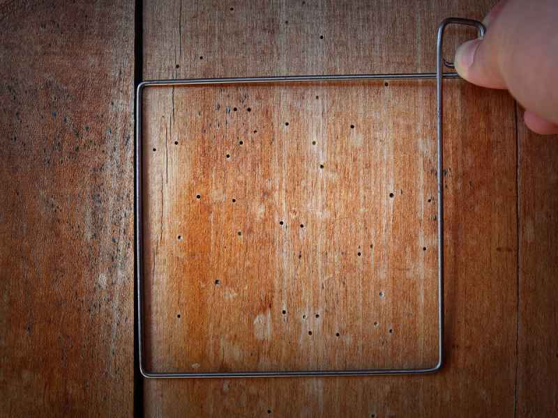 Come capire se ho un infestazione di tarli