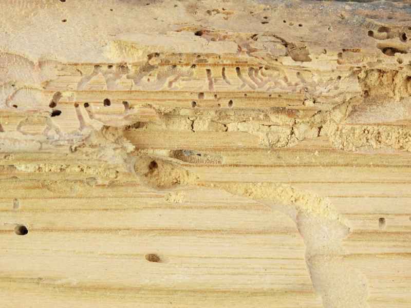 Riconoscere i segnali dell