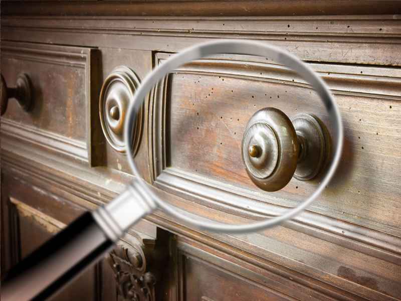 Danni dei tarli sui mobili