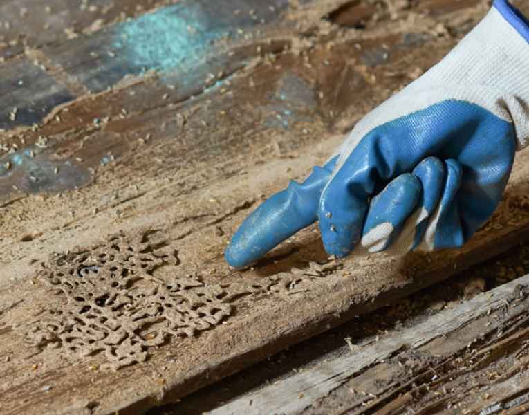 Segnali per riconoscere l