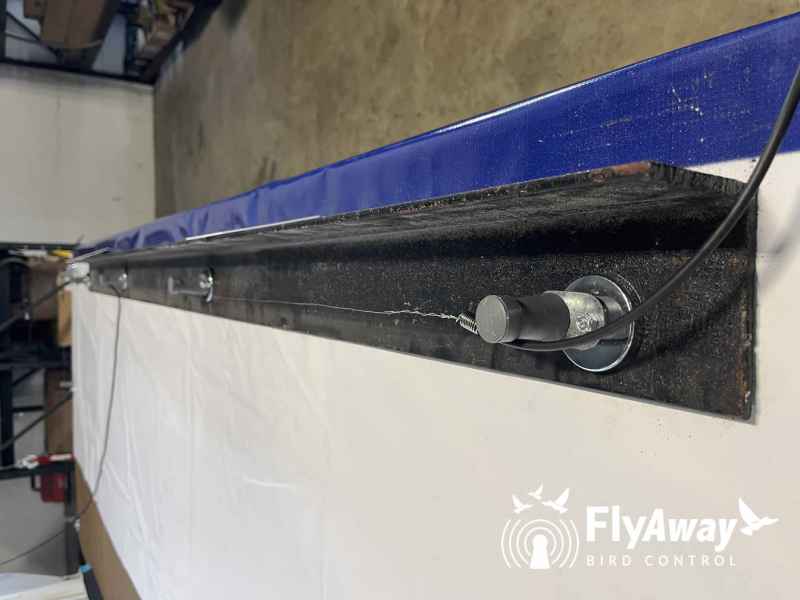 Allontanamento Volatili FlyAway