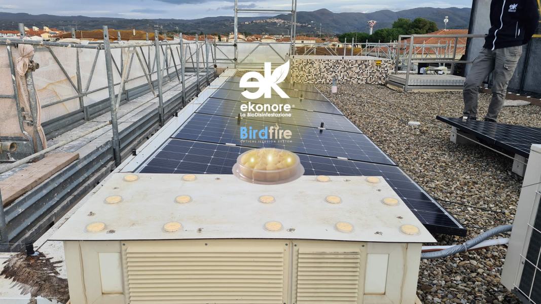 Dissuasore visivo olfattivo allontanamento piccioni