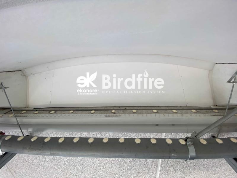 Piattini birdfire allontanamento piccioni dissuasori visivi e olfattivi