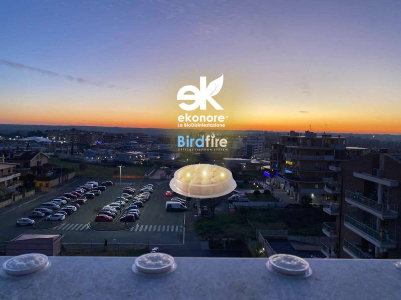 Birdfire allontanamento piccioni dissuasore olfattivo e visivo efficace