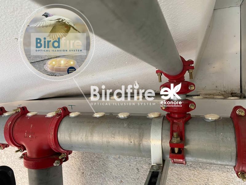 Barriera anti piccioni dissuasore visivo olfattivo per allontanare i volatili