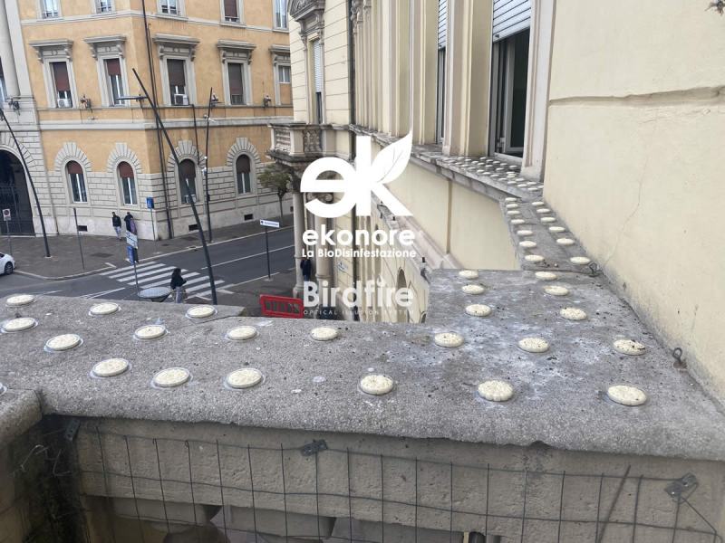 Dissuasore Anti Piccioni BirdFire Nessun Impatto Estetico 100& Efficace