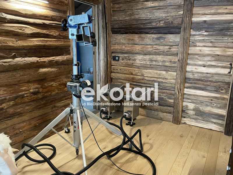 Disinfestazione antitarlo microonde legno