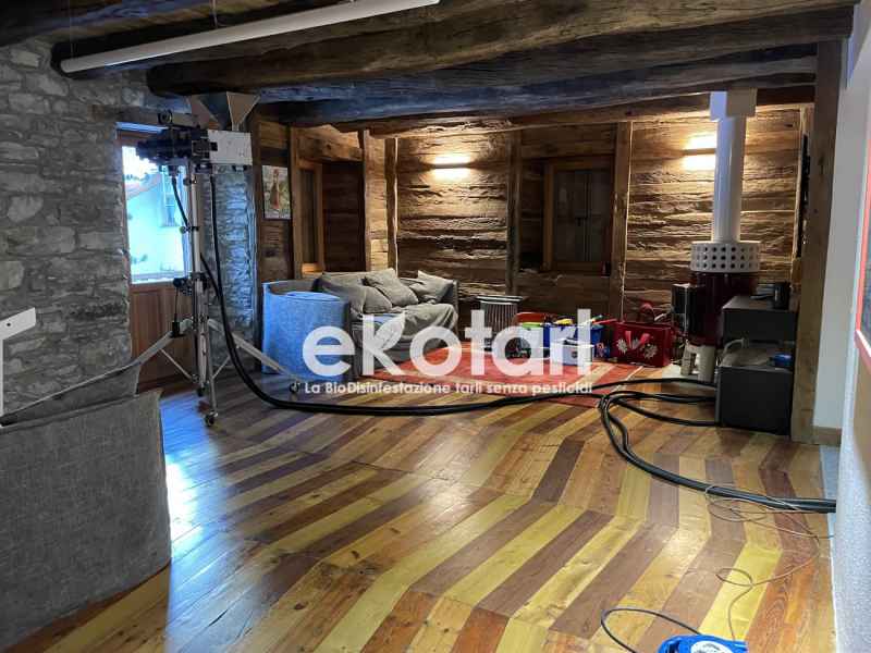 Eliminare definitivamente i tarli con le microonde