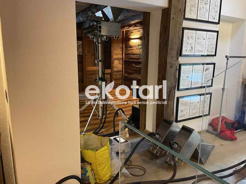 Disinfestazione tarli trattamento d