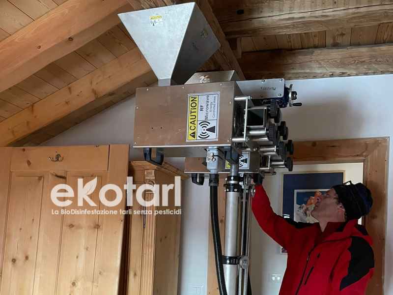 Disinfestazione Travi legno a microonde