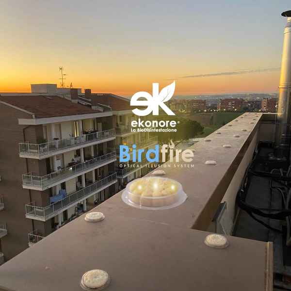 Dissuasore birdfire allontanamento piccioni visivo olfattivo