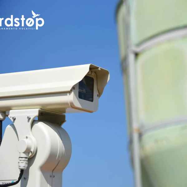 Dissuasore Laser Allontanamento Piccioni